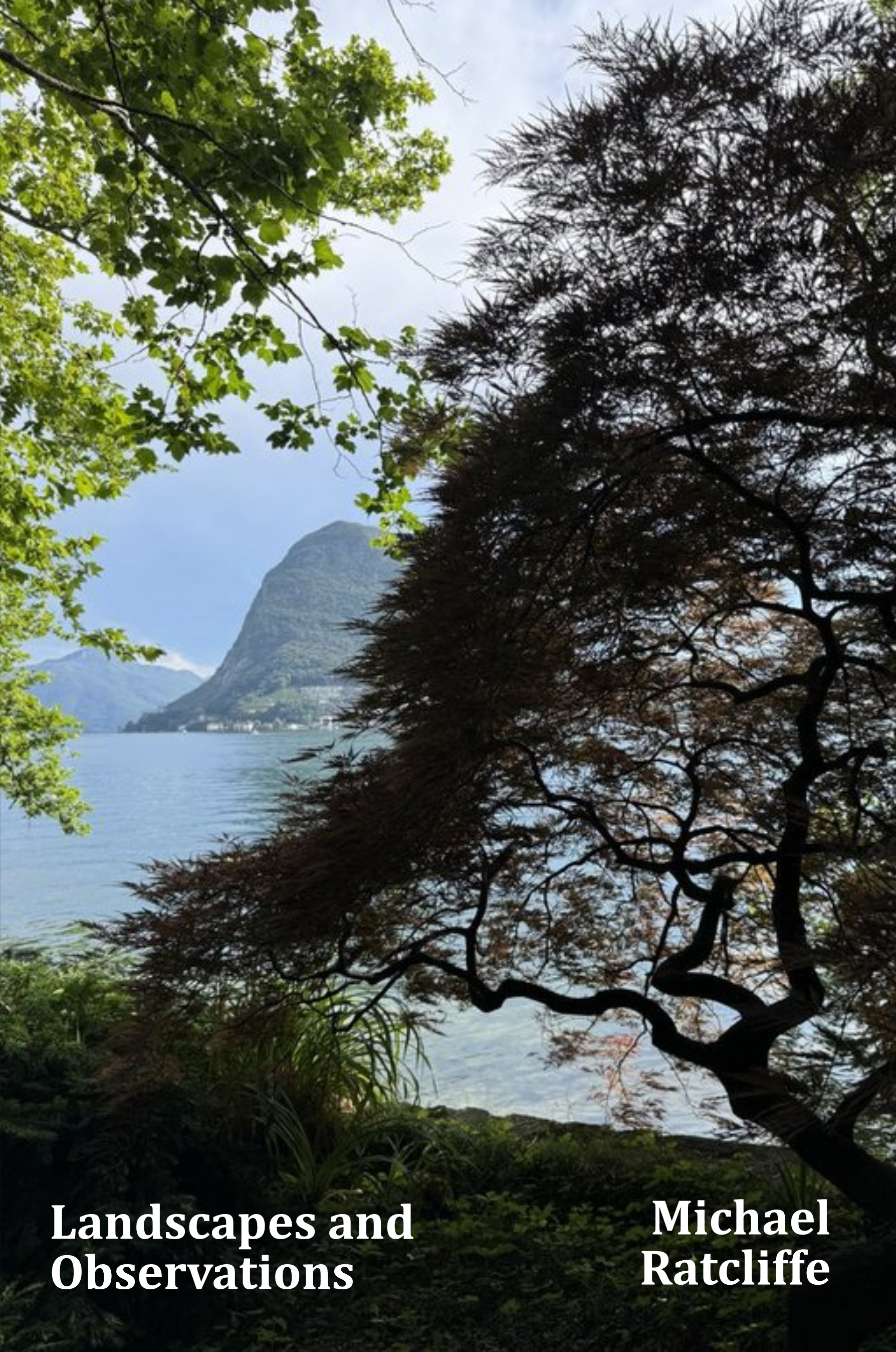 Landscapes and Observations